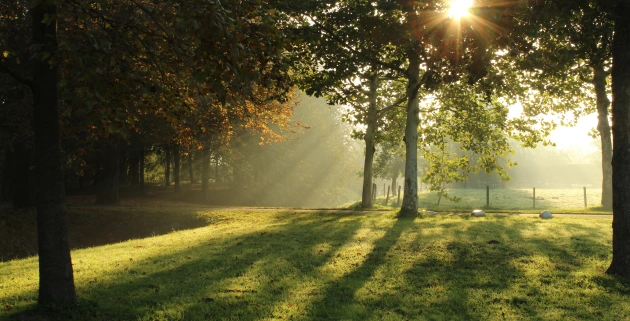 Słoneczny park